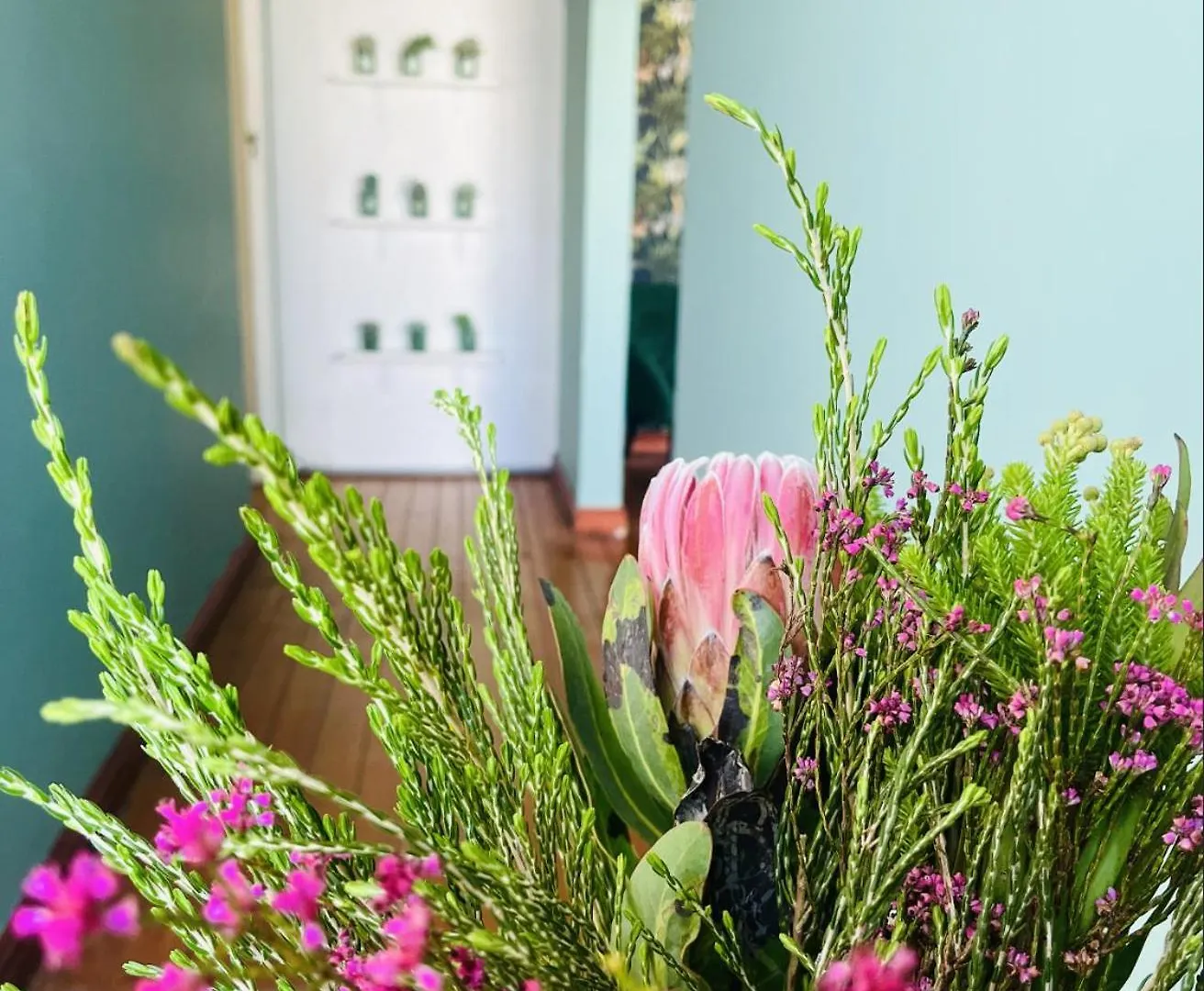 Apartment Rondebosch Cottage Cape Town
